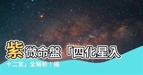 飛星十二宮位解析|十二宮位的飛星專論